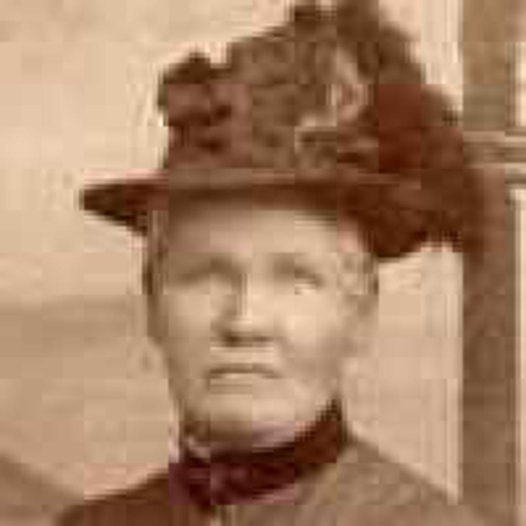 Mary Jane Quinn (1840 - 1910) Profile